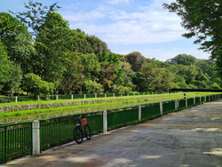 Sembawang Road (D26), Shop House #592488441